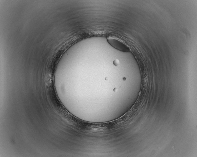 X0000113120555200909181651