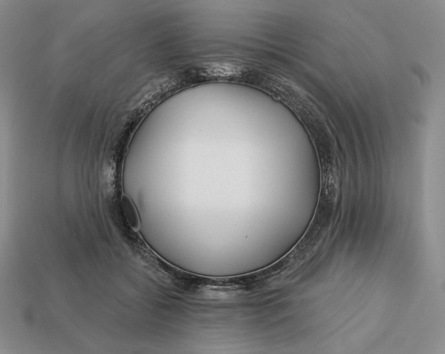 X0000113120556200909181651