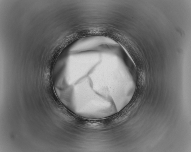 X0000113120557200909181651