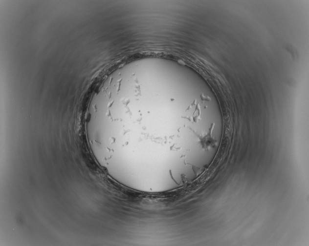 X0000113120560200909181651