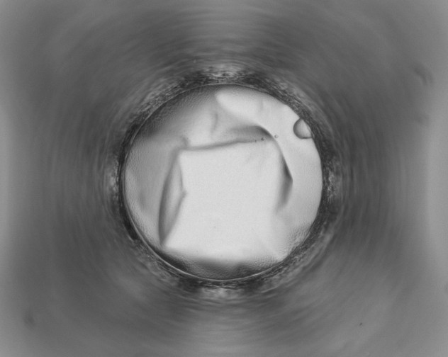 X0000113120561200909181651