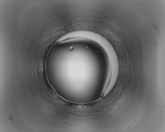 X0000113120562200909181651