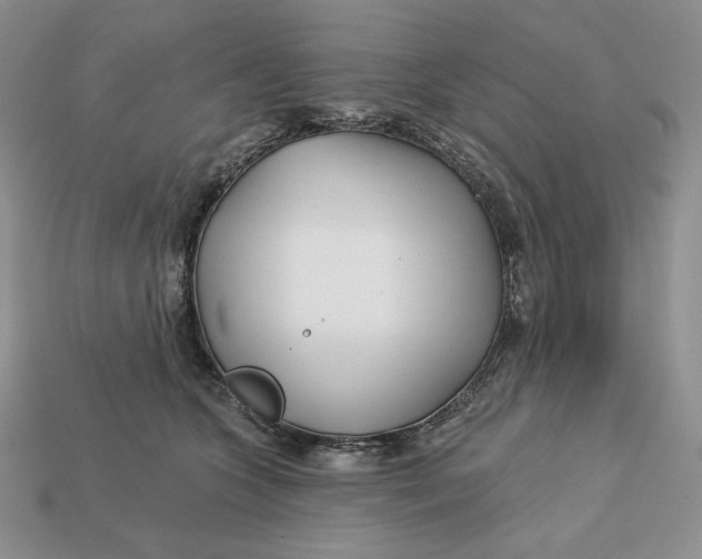 X0000113120563200909181651