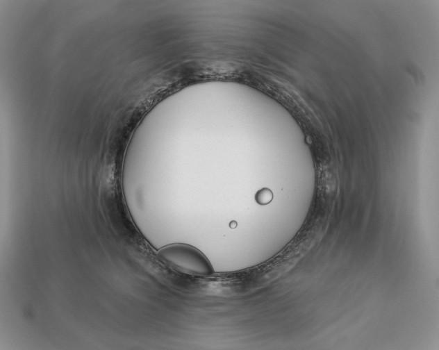 X0000113120564200909181651