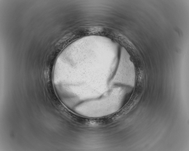 X0000113120565200909181651