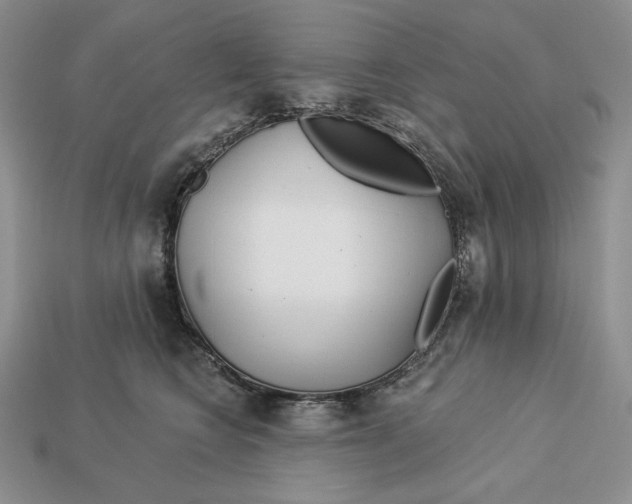 X0000113120566200909181651