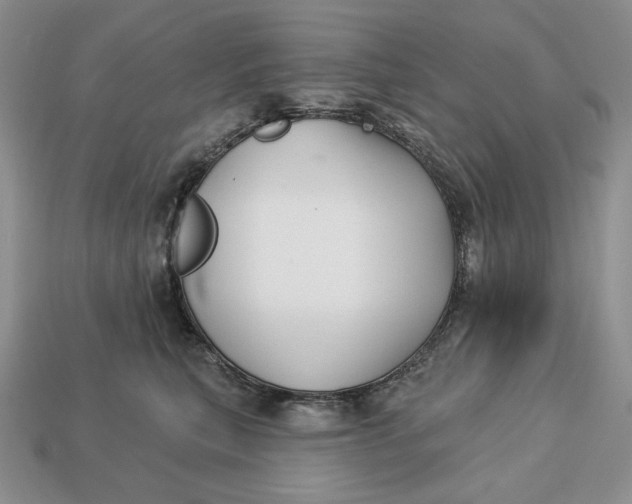 X0000113120567200909181651