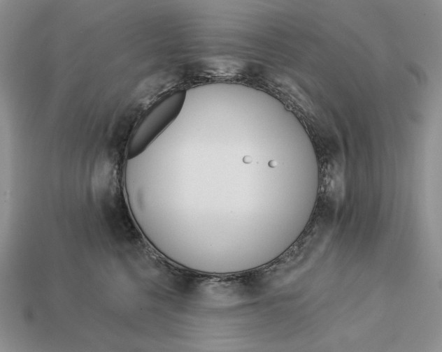 X0000113120568200909181651