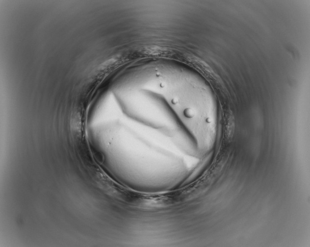 X0000113120569200909181651