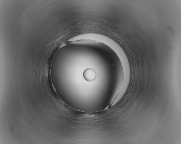 X0000113120570200909181651