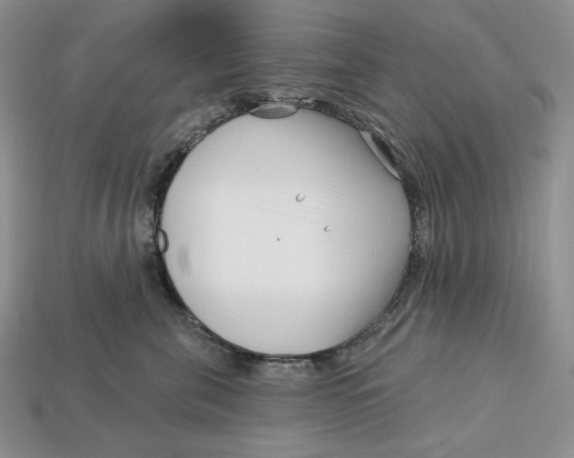 X0000113120571200909181651