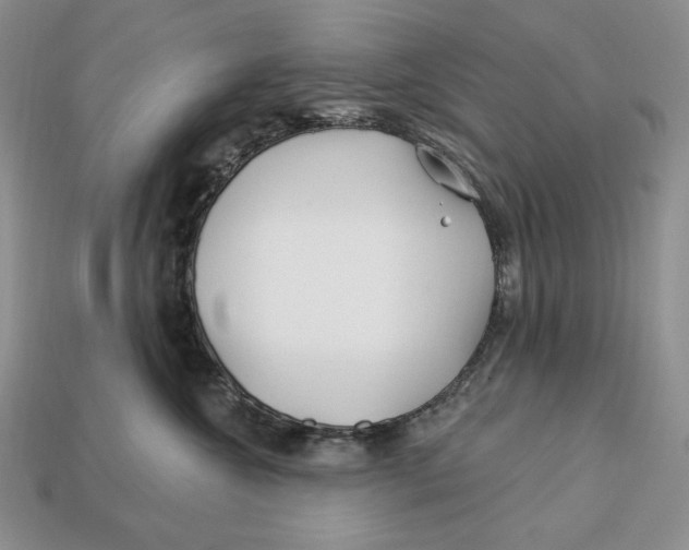 X0000113120572200909181651