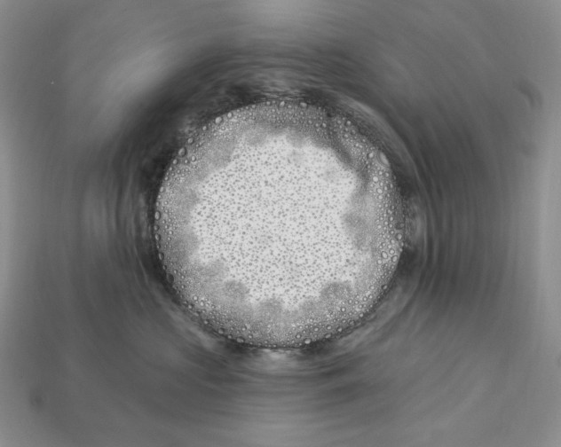 X0000113120573200909181651