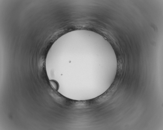 X0000113120574200909181651