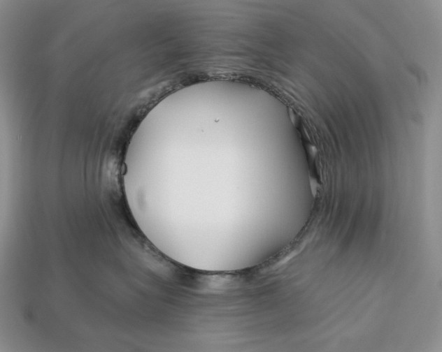 X0000113120575200909181651