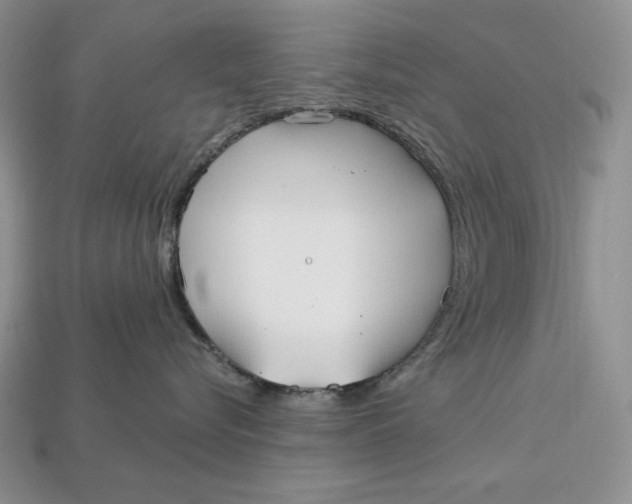 X0000113120576200909181651