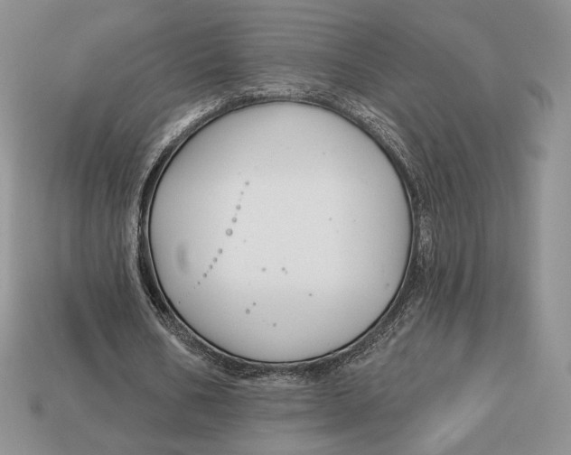 X0000113120578200909181650