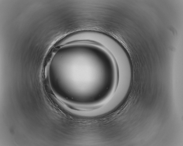 X0000113120579200909181650