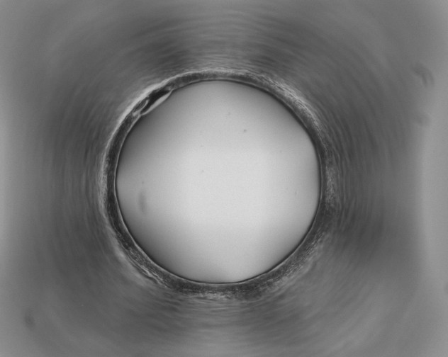 X0000113120580200909181650