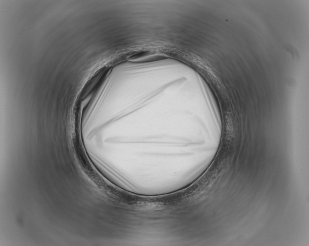 X0000113120582200909181650