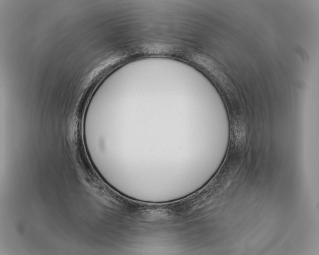 X0000113120583200909181650