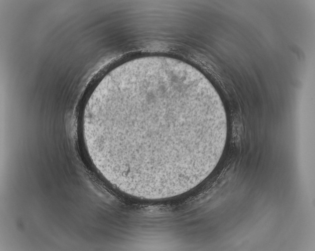 X0000113120584200909181650