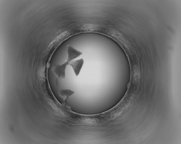 X0000113120585200909181650