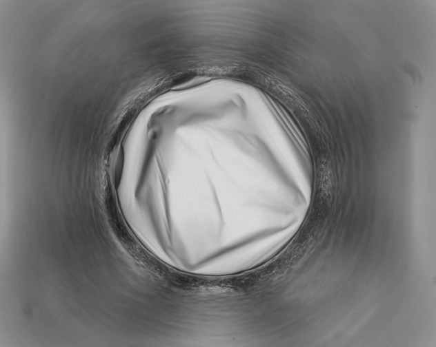 X0000113120586200909181650