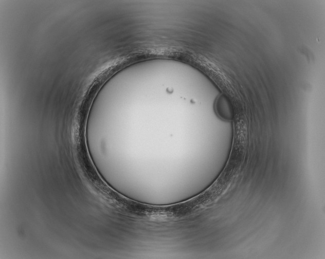 X0000113120587200909181650