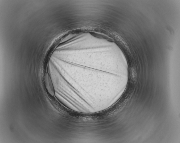 X0000113120588200909181650