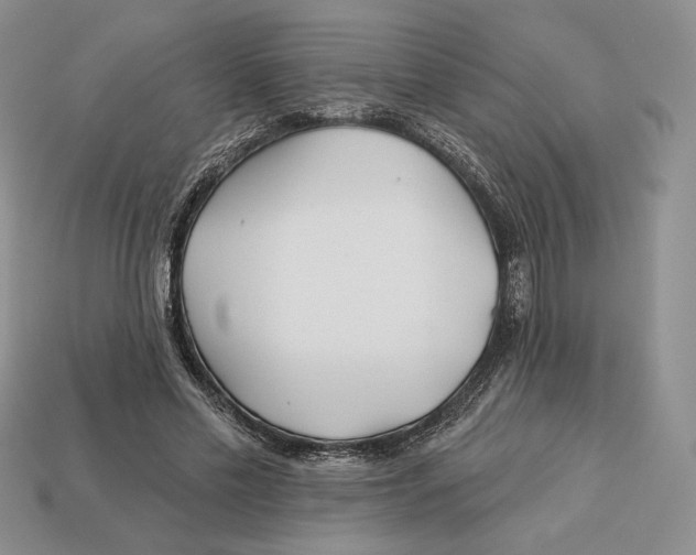 X0000113120589200909181650