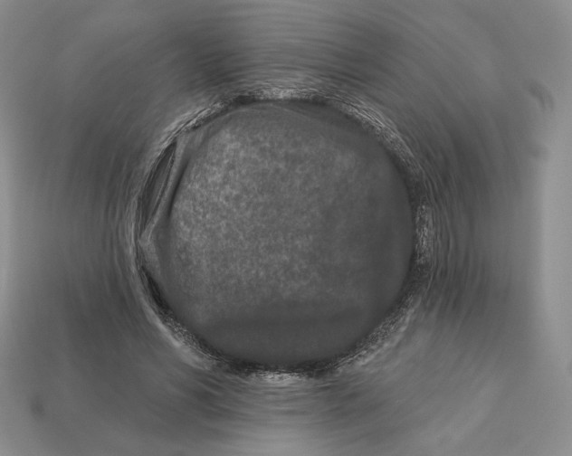 X0000113120590200909181650