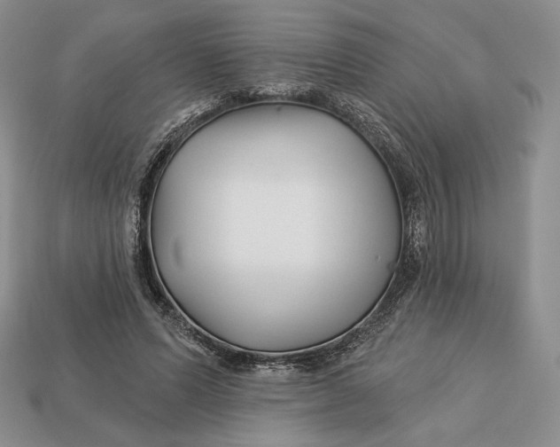 X0000113120591200909181650