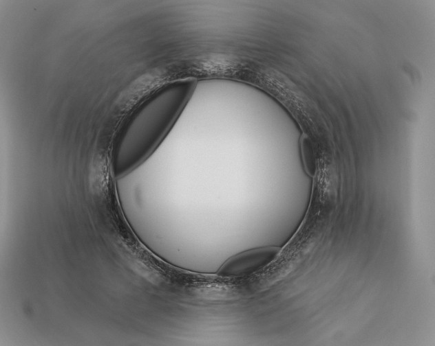 X0000113120593200909181650