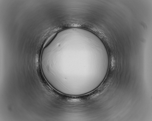 X0000113120594200909181650