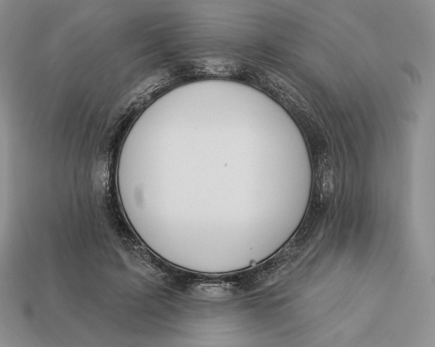 X0000113120595200909181650