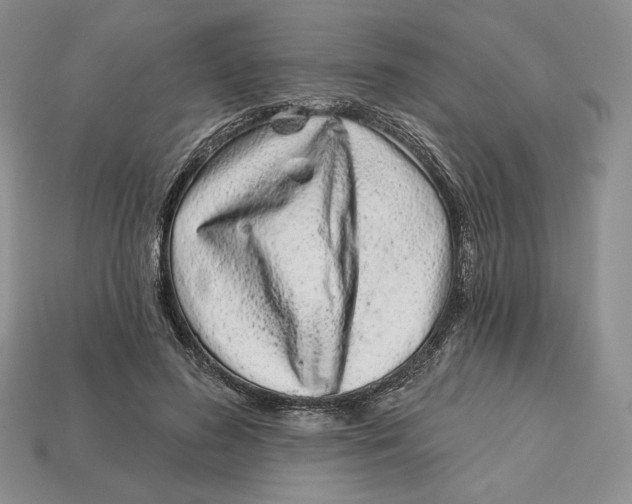 X0000113120596200909181650