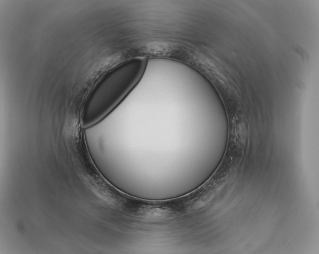 X0000113120597200909181650