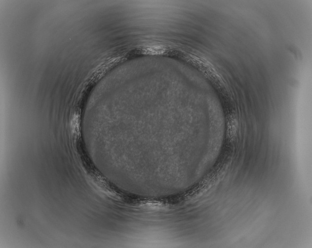 X0000113120598200909181650