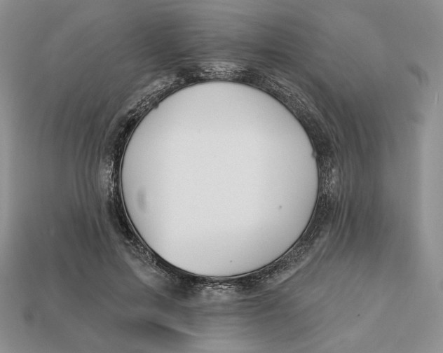 X0000113120599200909181650