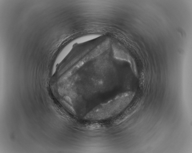 X0000113120600200909181650