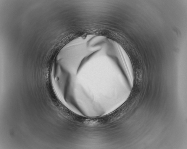 X0000113120602200909181650