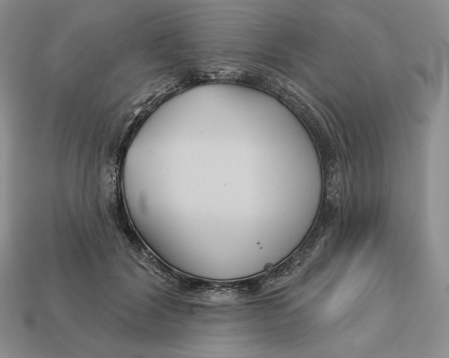 X0000113120604200909181650