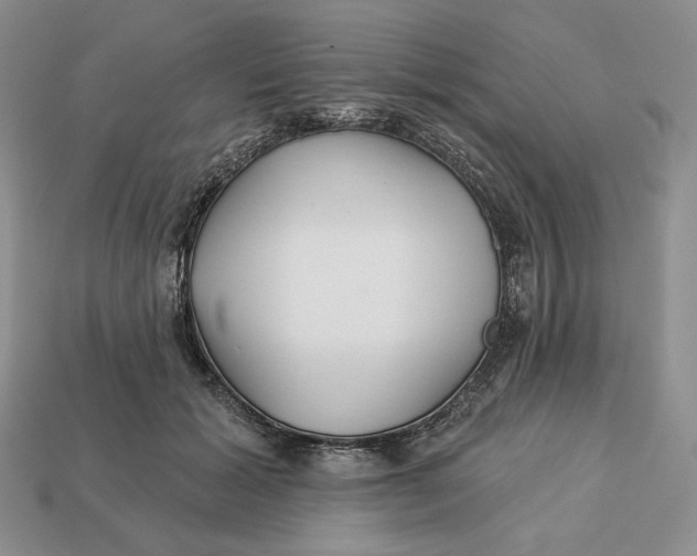 X0000113120605200909181650