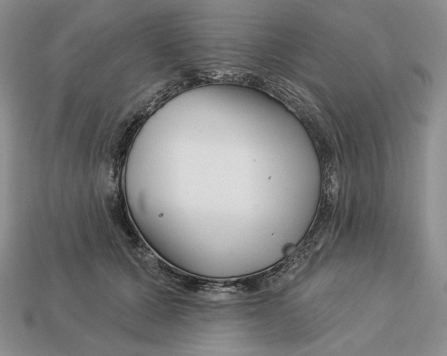 X0000113120607200909181650