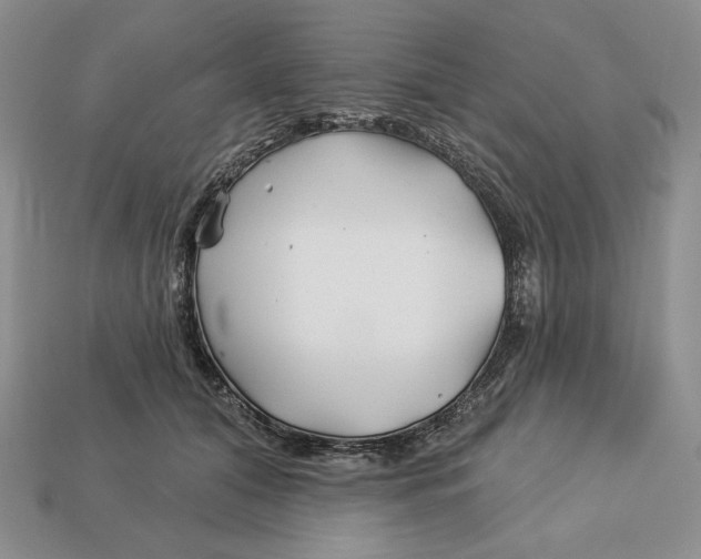 X0000113120608200909181650