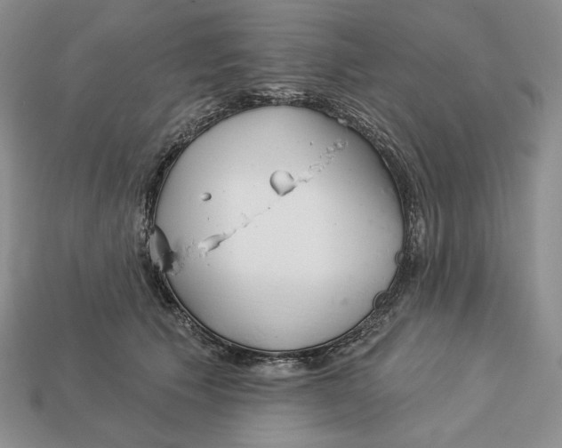 X0000113120609200909181650