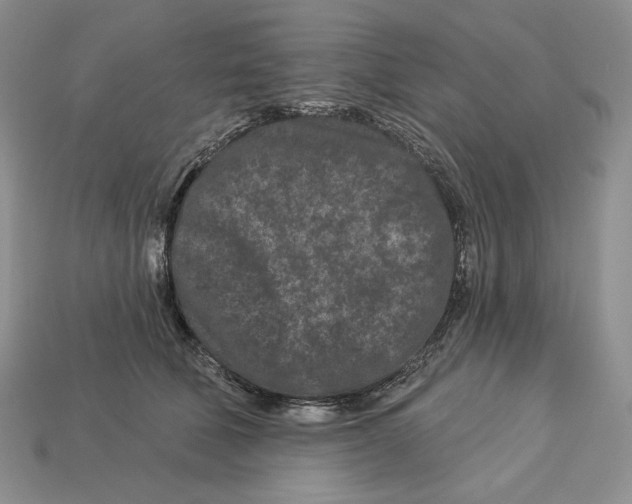 X0000113120610200909181650