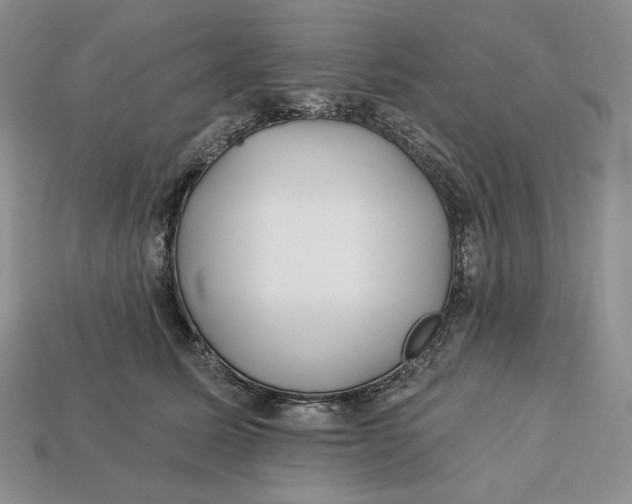 X0000113120611200909181650