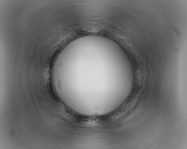 X0000113120612200909181650